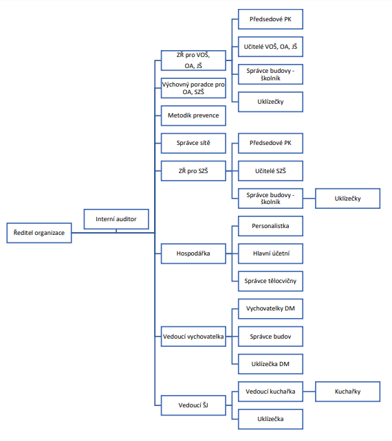 Organizační struktura